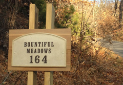 Bountiful Meadows